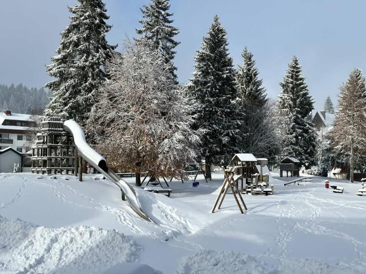 Relaxapartments Black Forest Emotion Mit Sonnenbalkon Mit Blick Auf Den Kurpark, Schnelles Internet, Naehe Triberger Wasserfaelle, Fuer Bis Zu 2 Personen Schönwalde Exterior foto
