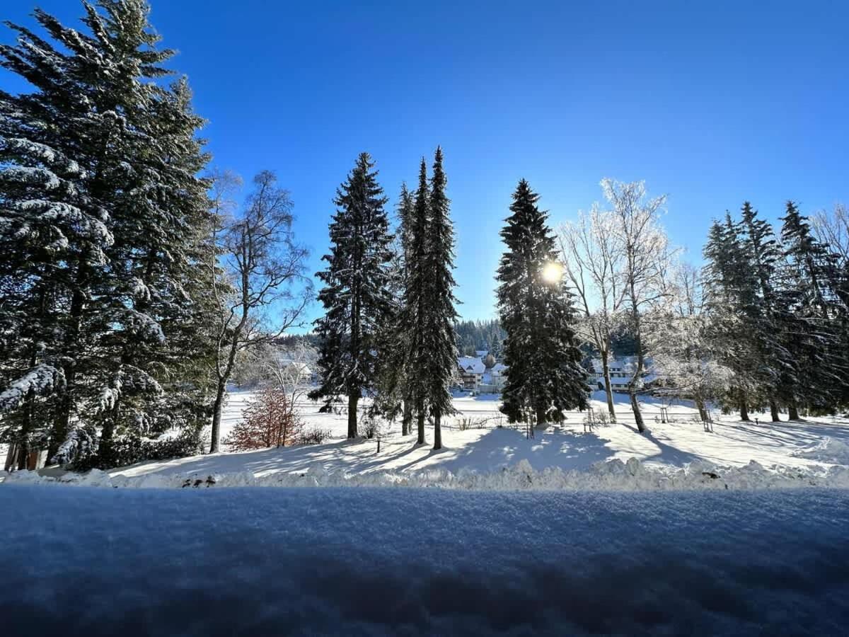 Relaxapartments Black Forest Emotion Mit Sonnenbalkon Mit Blick Auf Den Kurpark, Schnelles Internet, Naehe Triberger Wasserfaelle, Fuer Bis Zu 2 Personen Schönwalde Exterior foto